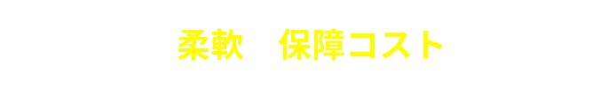 POINT2 柔軟な保障コスト（保険料）