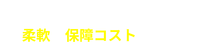 POINT2 柔軟な保障コスト（保険料）
