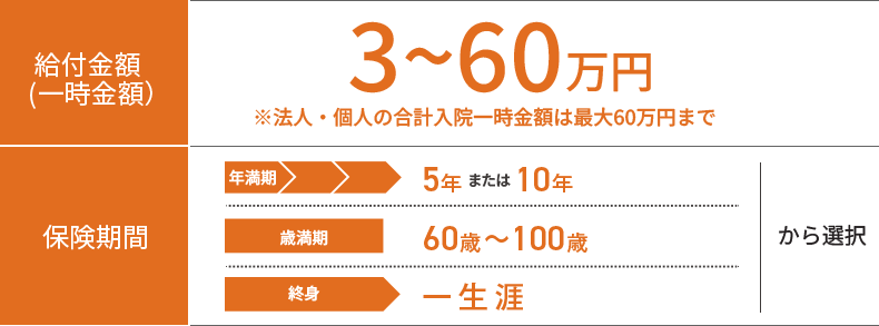 ■給付金額(一時金額)/3~60万円■保険期間/年満期(5年または10年)、歳満期(60歳~100歳)、終身(一生涯)から選択