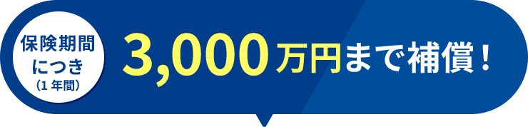 保健機関につき（1年間）3,000万円まで補償！