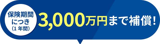 保健機関につき（1年間）3,000万円まで補償！